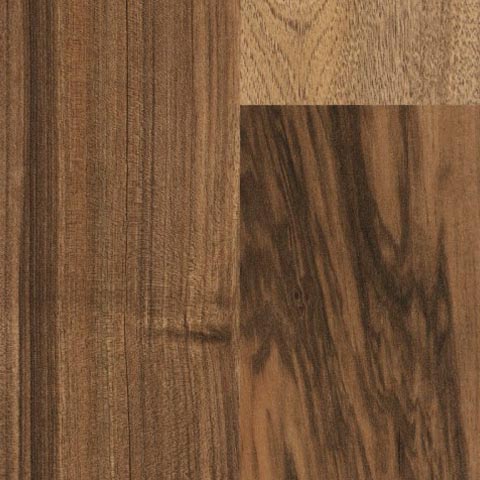 australiuan walnut profesional series 7